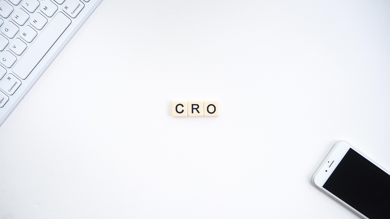 ■ 워드프레스에서 CRO 적용 방법