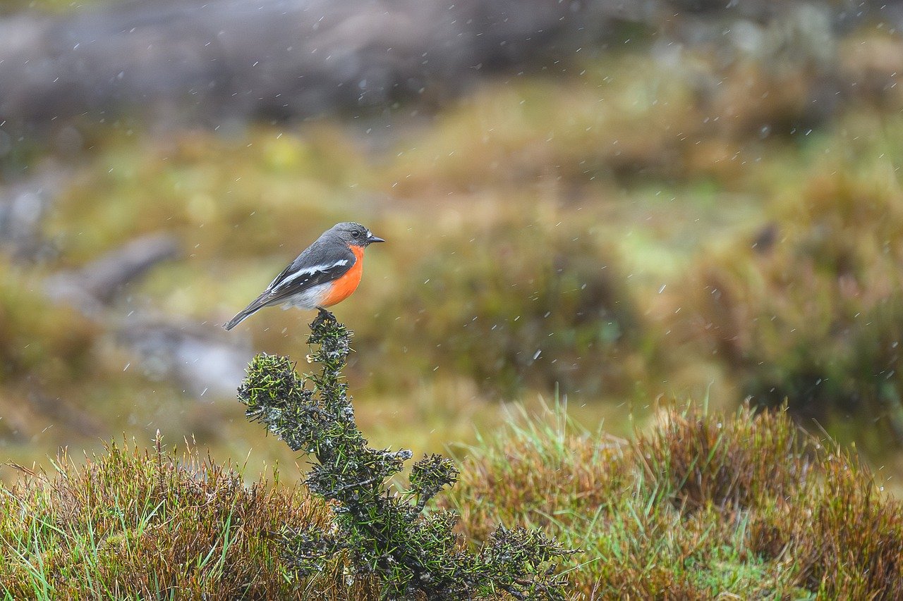 ■ 오프라인 홍보 및 이벤트 기획